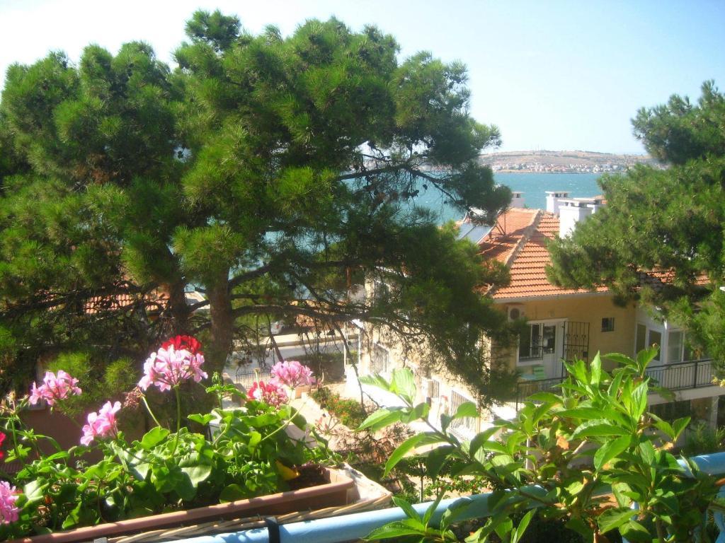 Mavi Pension Hotel Ayvalı Exterior foto